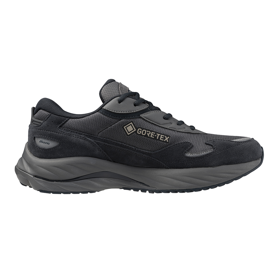 Mizuno WAVE RIDER Beta GTX Quiet shade/vulcan/silver